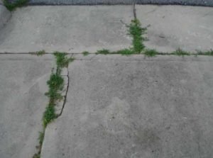 How to remove grass from asphalt driveway