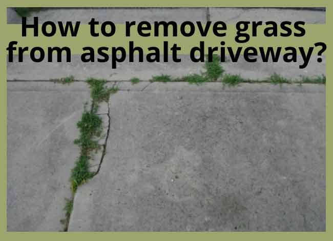 How to remove grass from asphalt driveway?